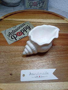 Caracola Blanca S