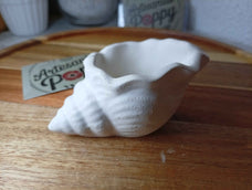 Caracola Blanca S